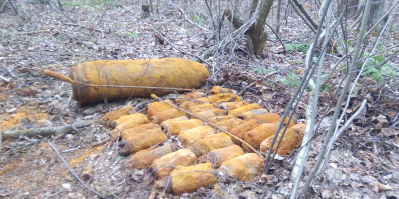 На Волині лісівники знайшли старі гранати і бомбу (фото)