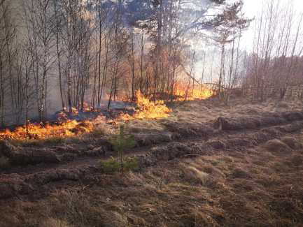 Протягом вихідних на Волині – 67 виїздів на гасіння пожеж в екосистемах
