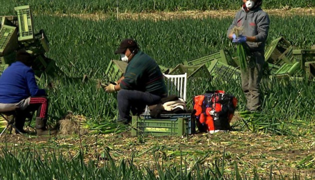 В Австрії фермер «закрив на карантин» 15 українських заробітчан
