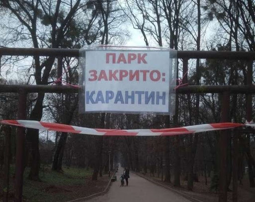 Google «здав» українців, які масово побігли до парків