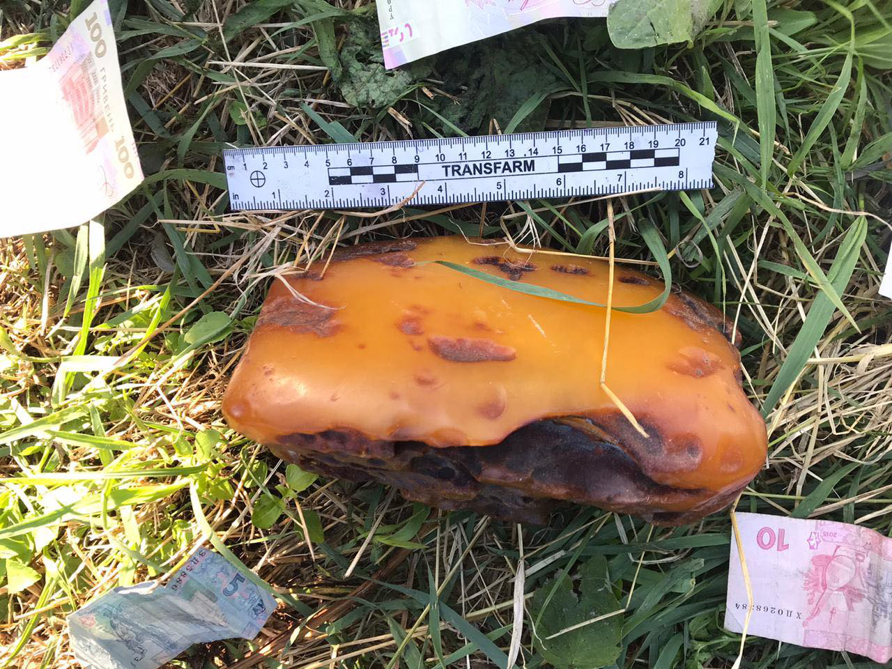 На Волині у рівнянина знайшли майже 2-кілограмовий камінь бурштину (фото)