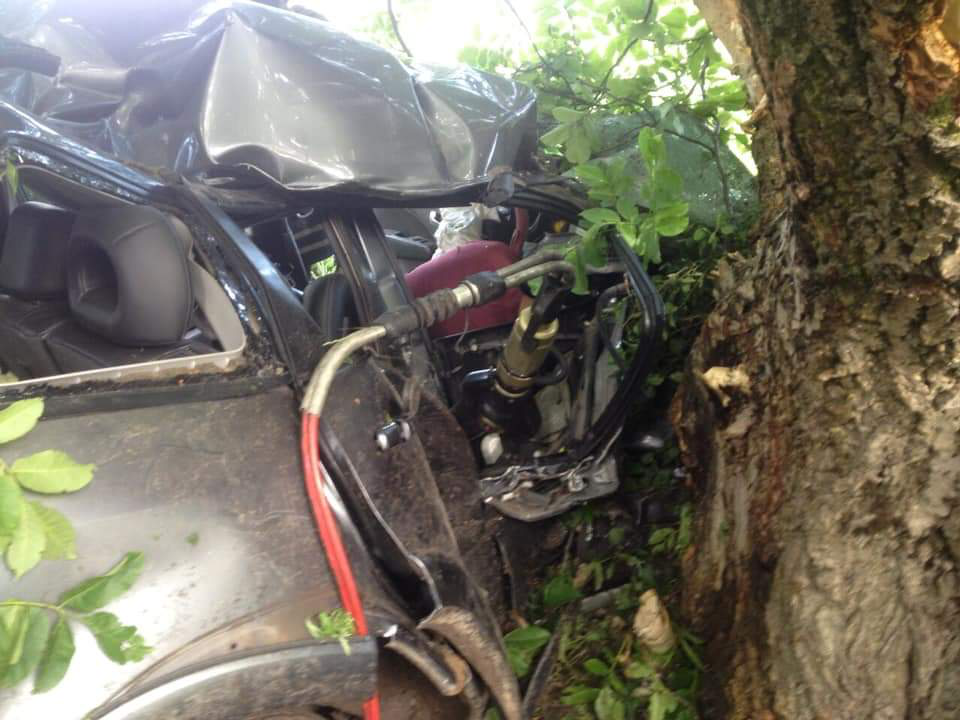 У Турійському районі автомобіль влетів у дерево: водій загинув