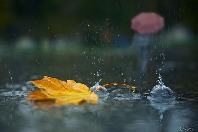Ввечері можливий дощ: погода в Луцьку на суботу, 10 жовтня