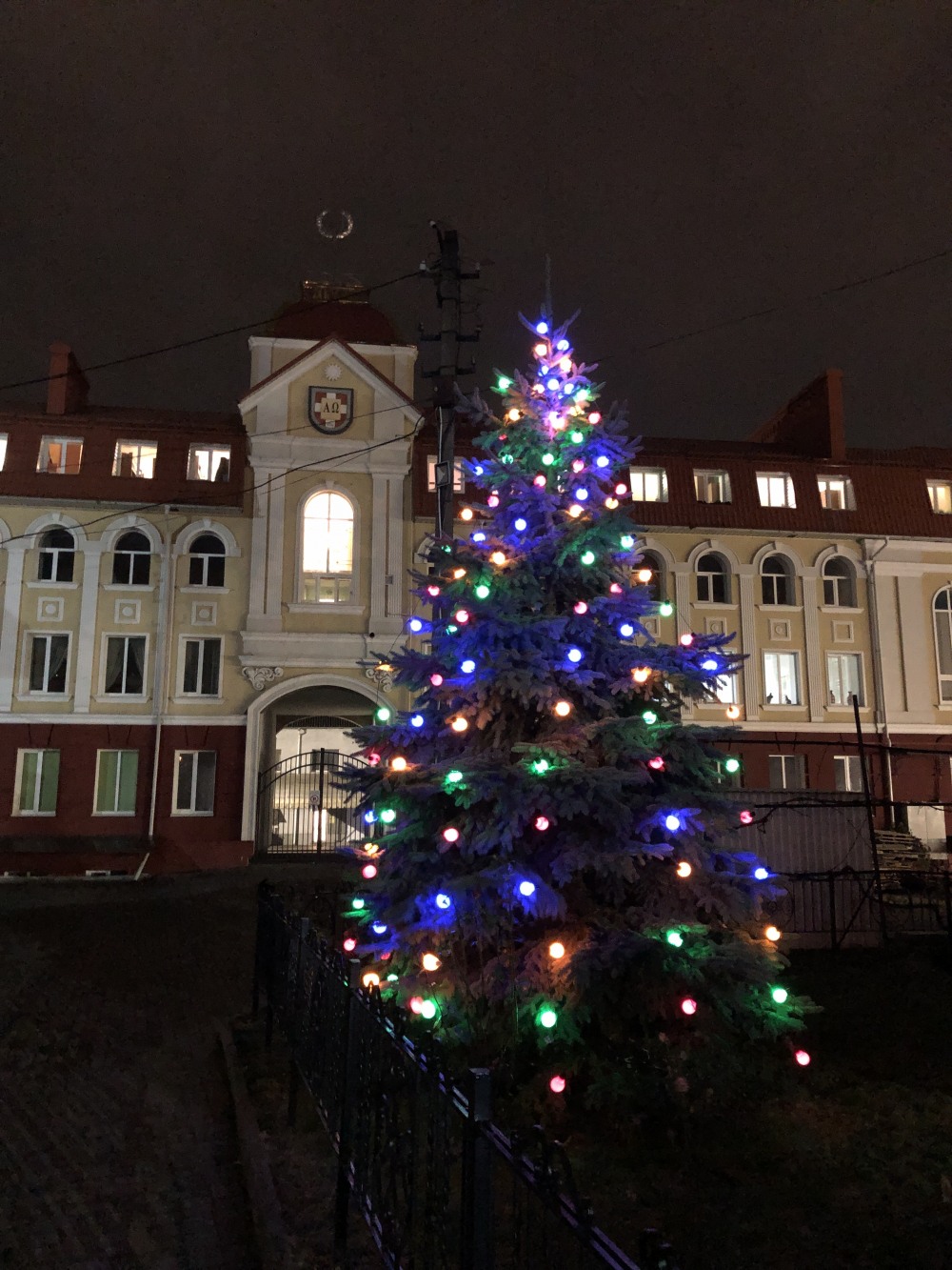 На подвір'ї Свято-Троїцького собору в Луцьку засвітили різдвяну ялинку (фото)