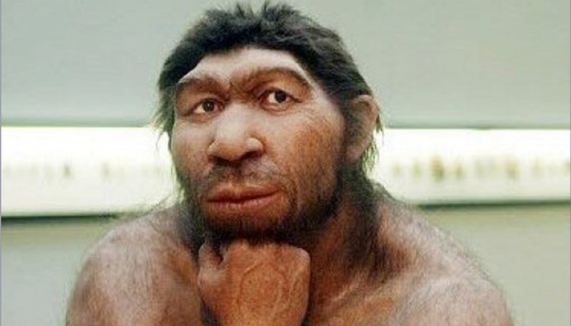 Учені припускають, що неандертальці могли впадати в сплячку на зиму