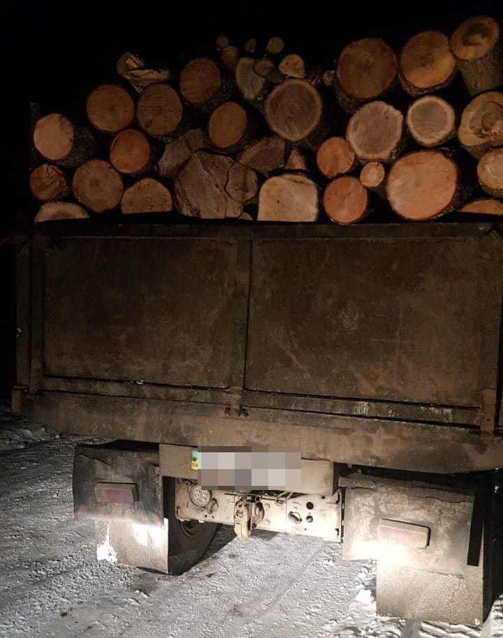 Сховав дуб під дровами: в Ківерцівському районі зловили крадія лісу (фото)
