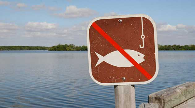 На Волині з квітня заборонять ловити рибу: деталі