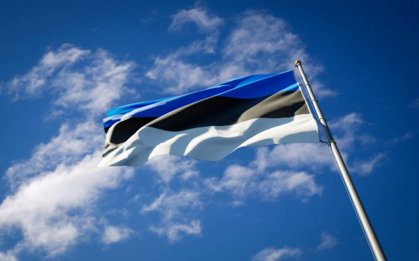 Не було законних підстав для перебування: Естонія розвернула вісьмох українців додому