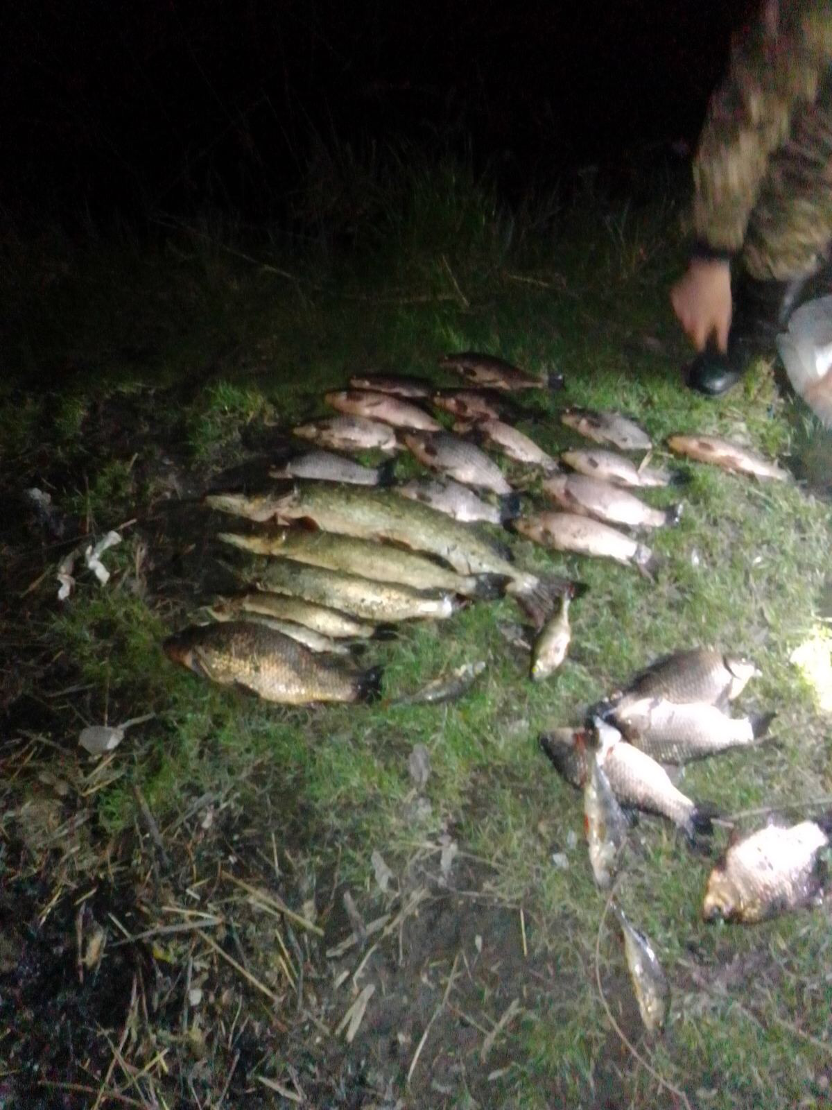 В орнітологічному заказнику в Чарукові браконьєри зловили 10 кілограмів риби (фото)
