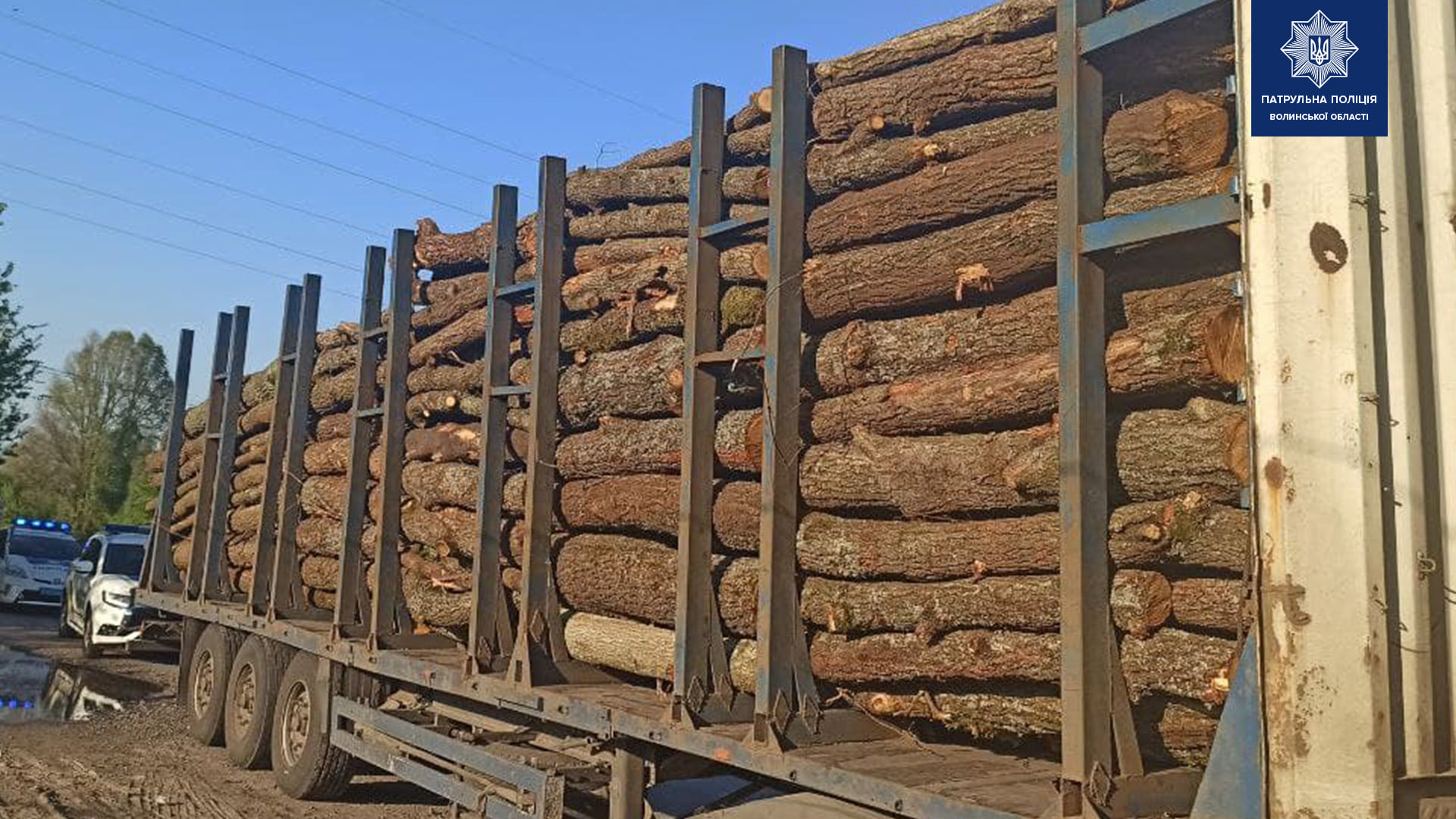 У Ковелі зупинили вантажівку з причепом незаконної деревини
