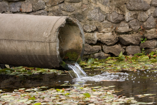 Ківерцівське, цуманське та ковельське підприємства понаднормово забруднюють стічні води