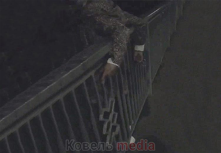 У Ковелі юнак врятував жінку, яка хотіла стрибнути з мосту (відео)