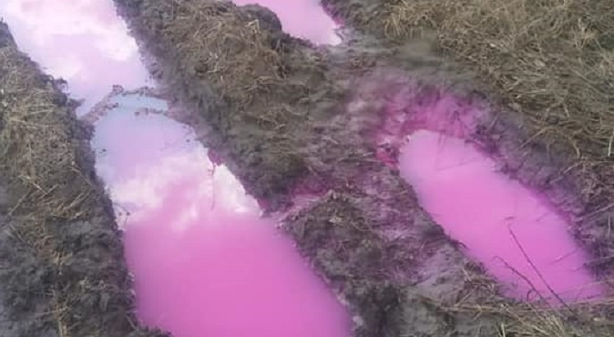 Поблизу Рівного – розлив невідомої рожевої речовини (фото)