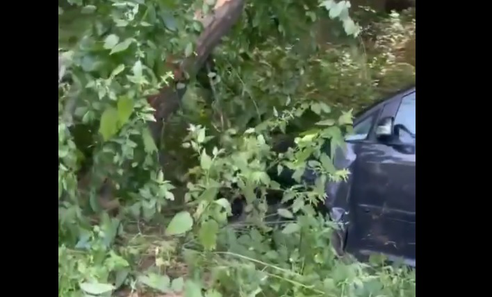На Волині шукають власника автівки, яка злетіла в кювет (відео)
