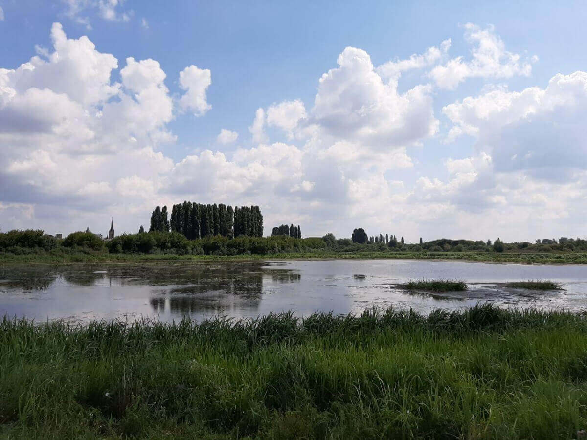 У Луцьку організовують прибирання заплави річки Стир