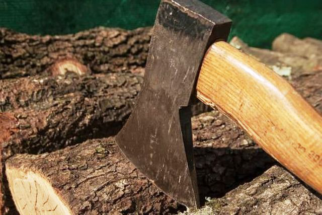 За 10 колод – 17 тисяч: волинянина судили за незаконну купівлю деревини
