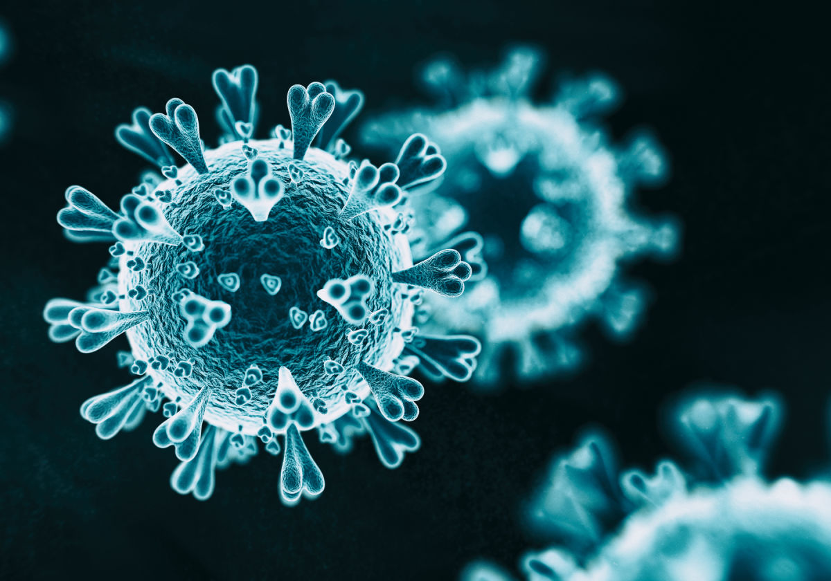 Вчені США знайшли антитіло, здатне протистояти різним коронавірусним інфекціям
