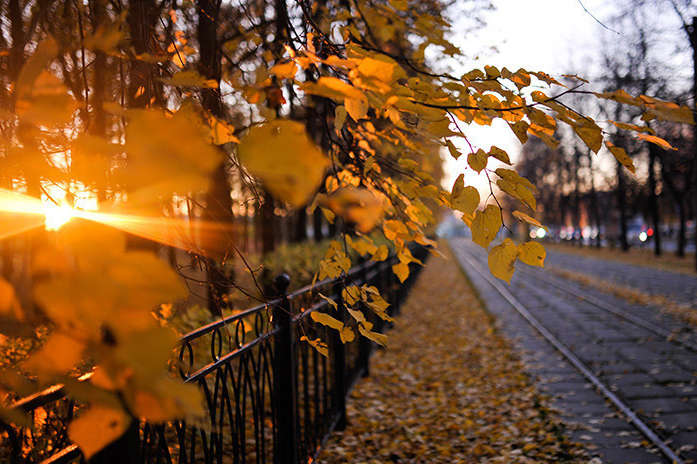 Трохи сонця, трохи хмар: погода в Луцьку на п'ятницю, 5 листопада
