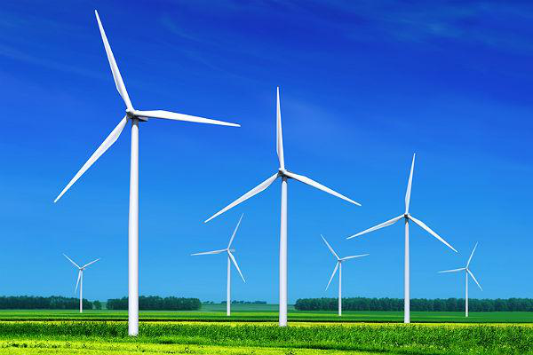На Ковельщині планують збудувати вітрову електростанцію (відео)