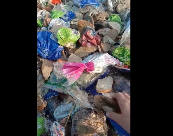 Під Луцьком на смітник викинули гору зіпсованого хліба (відео)