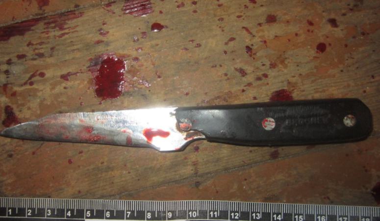 На Ковельщині п'яна жінка штрикнула ножем свого молодого співмешканця
