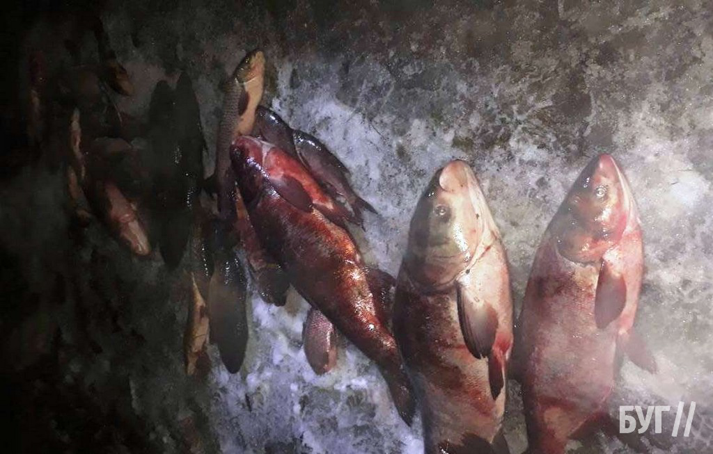 У селі на Волині браконьєри наловили риби на 100 тисяч гривень (фото)