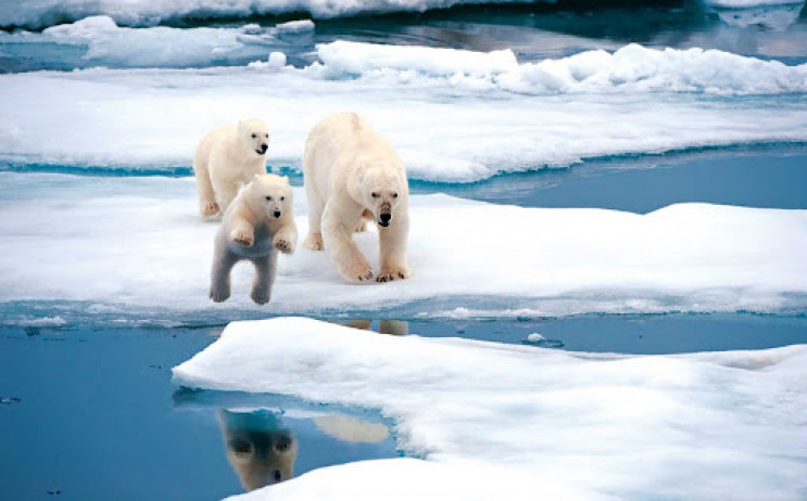 В Арктиці зафіксували температурний рекорд