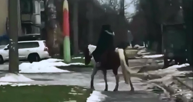 У Луцьку чоловік приїхав до магазину верхи на коні (відео)