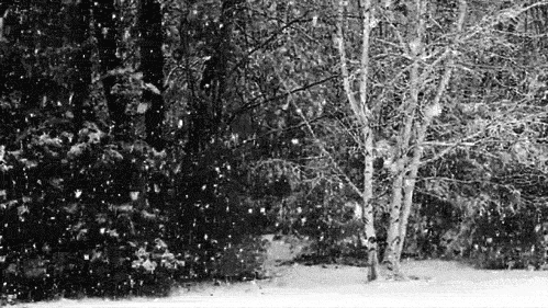 Вітер та мокрий сніг: погода в Луцьку на п'ятницю, 28 січня
