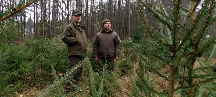 Волинські лісівники досягли кращих показників галузі за 30 років