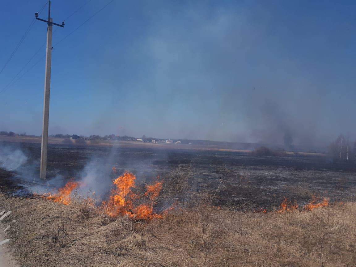 Лісівники Волині допомагають гасити пожежі на території громад (фото)