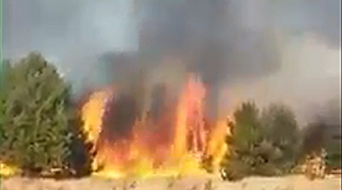 На Волині за кілька днів вигоріло понад 1200 гектарів землі (фото, відео)