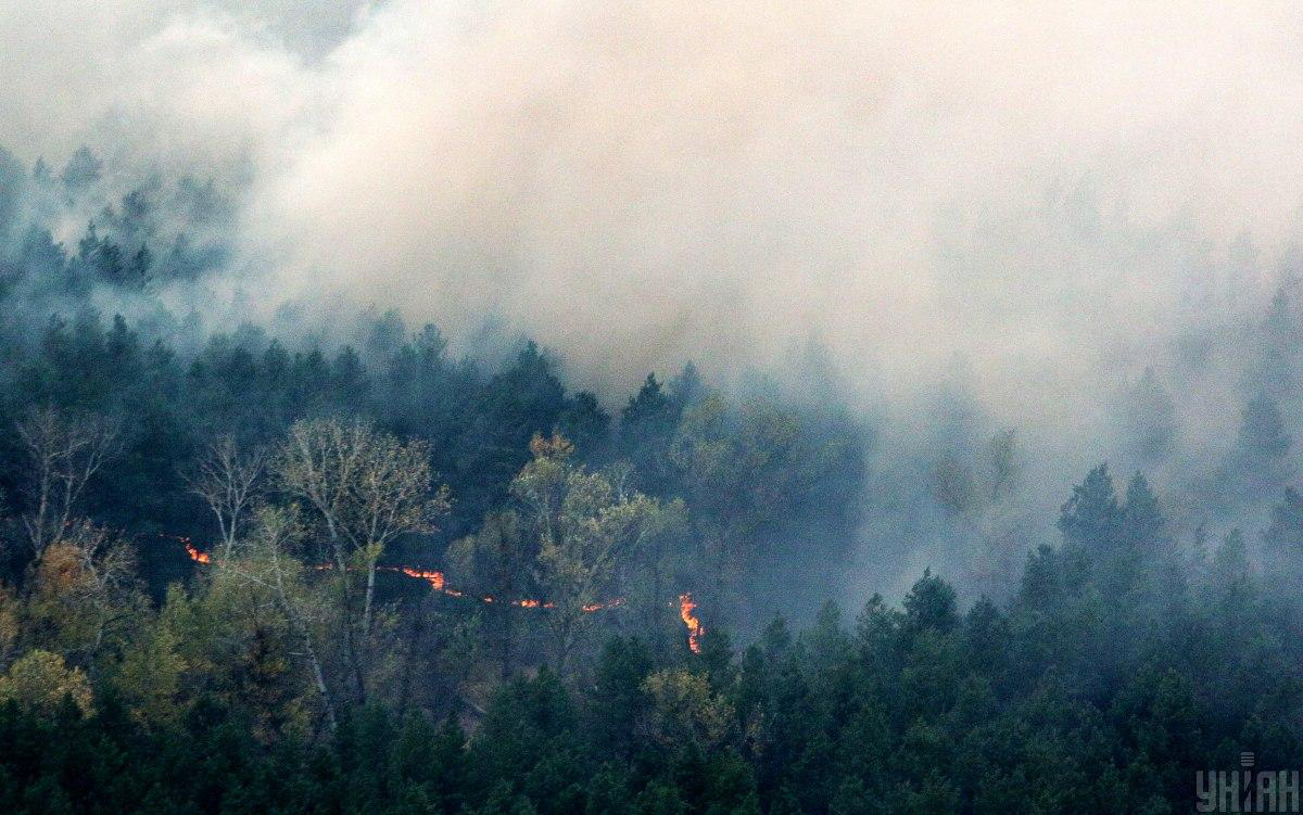 Пожежа біля ЧАЕС: у зоні відчуження через бойові дії горить понад 10 тисяч гектарів лісу, – Денісова