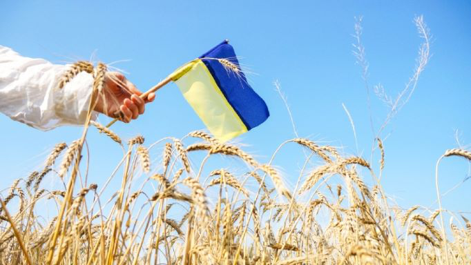 Україна ввела повне торговельне ембарго проти рф