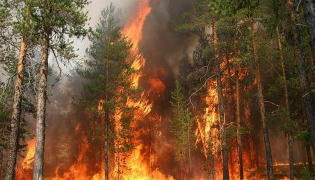 На Херсонщині горять ліси – під загрозою населені пункти