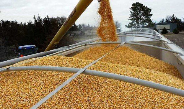 З Волині на Харківщину відправлять 2 тисячі тонн зерна
