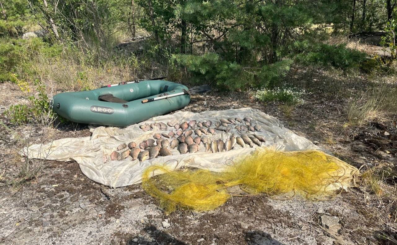 На Київщині чоловік наловив риби на 100 тисяч гривень