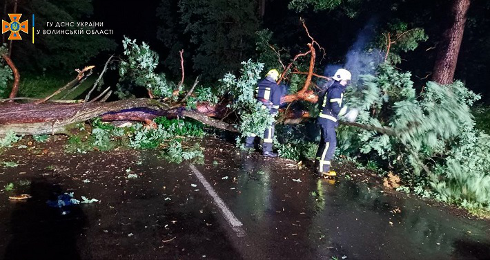 Пошкоджені авто й перекриті дороги: на Волині буревій повалив дерева (фото, відео)
