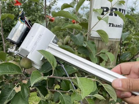 Інженери-агрономи розробляють роботизованого проріджувача зелених плодів