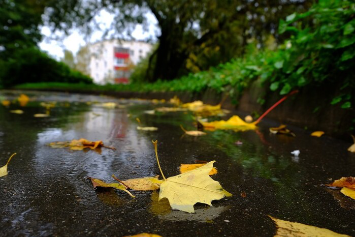 До обіду – дрібний дощ: погода в Луцьку на неділю, 9 жовтня