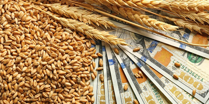Митників викрили на розкраданні 5 мільярдів у ході експорту українського зерна