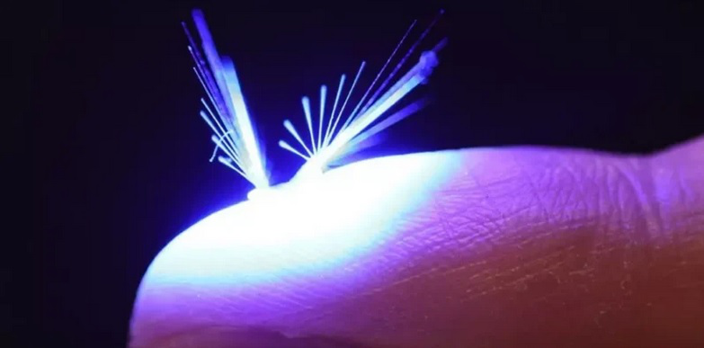 На енергії вітру та світла: вчені розробили робота-«фею»