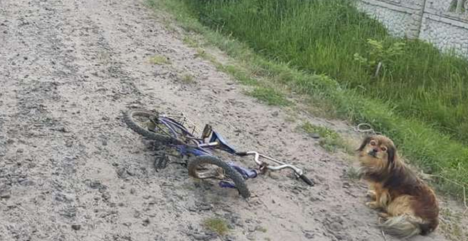 Волинянина, який збив на смерть 7-річного велосипедиста, посадили на сім років