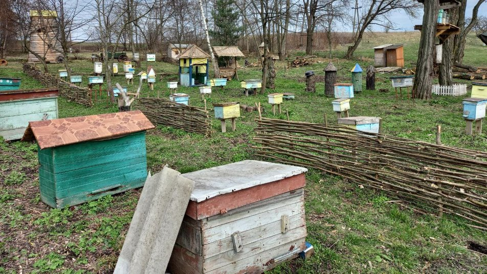 У музеї бджільництва на Волині відкрили сезон пасіки (відео)