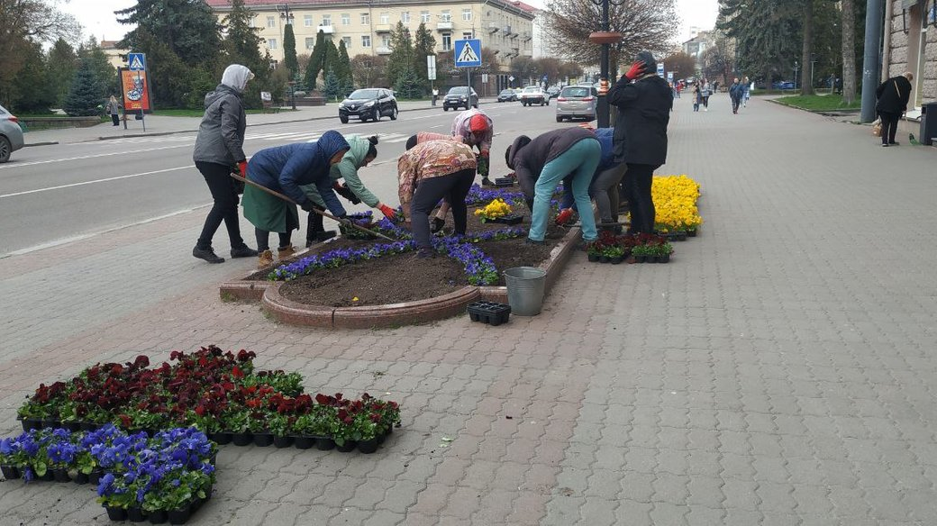 Садять квіти та обрізають гілля: луцькі комунальники наводять лад на вулицях міста ( фото, відео)