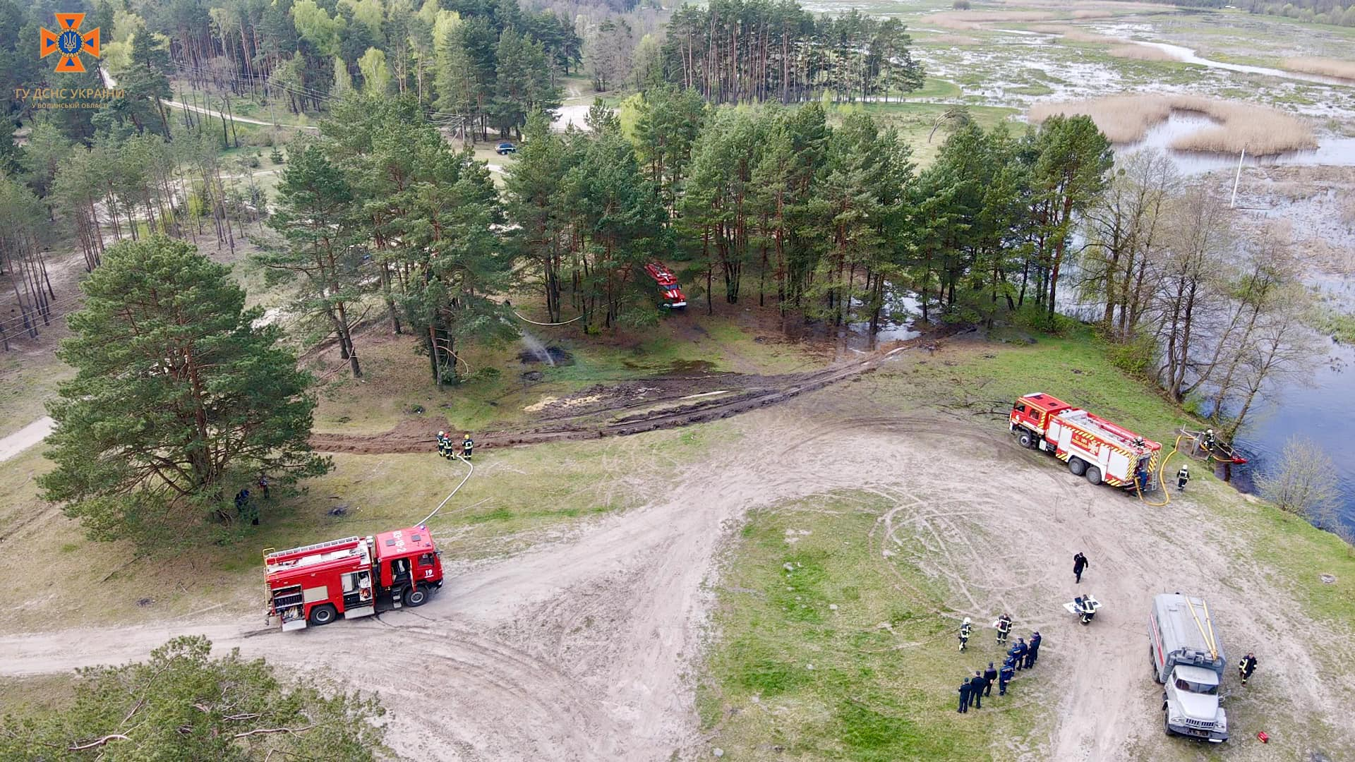 На Волині лісівники і рятувальники «приборкували» вогонь у лісі (фото)