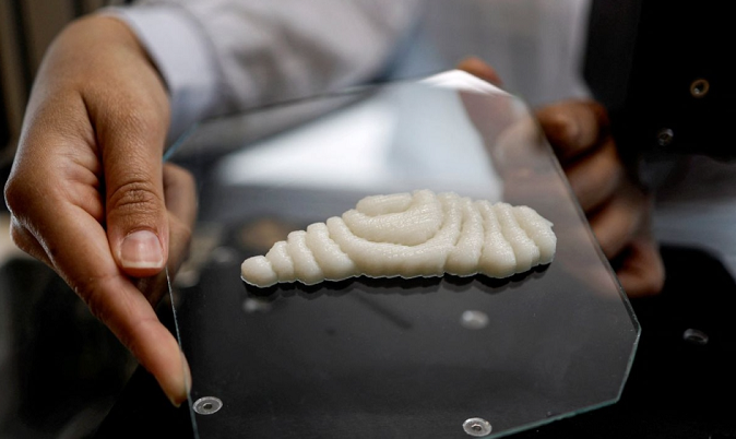 Можна їсти: в Ізраїлі на 3D-принтері вперше в історії надрукували філе риби (фото)