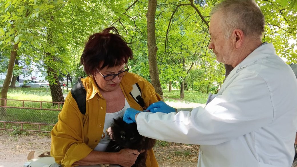 І котиків, і собачок: у Луцьку безплатно вакцинують домашніх тварин від сказу (фото, відео)