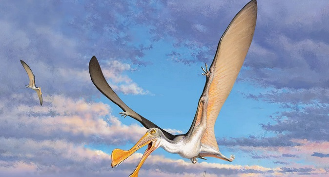 В Австралії знайшли рештки найдавнішої рептилії, яка вміла літати (фото)