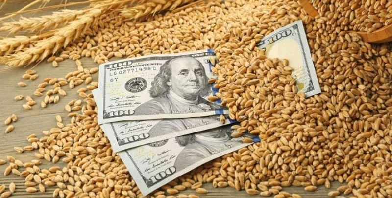 У Польщі обшукали 222 фірми у справі про ввезення зерна з України